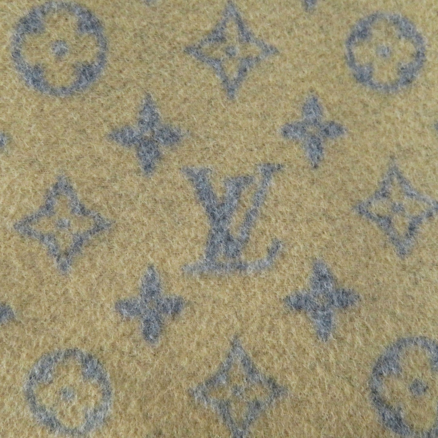 Louis Vuitton Coat Outer