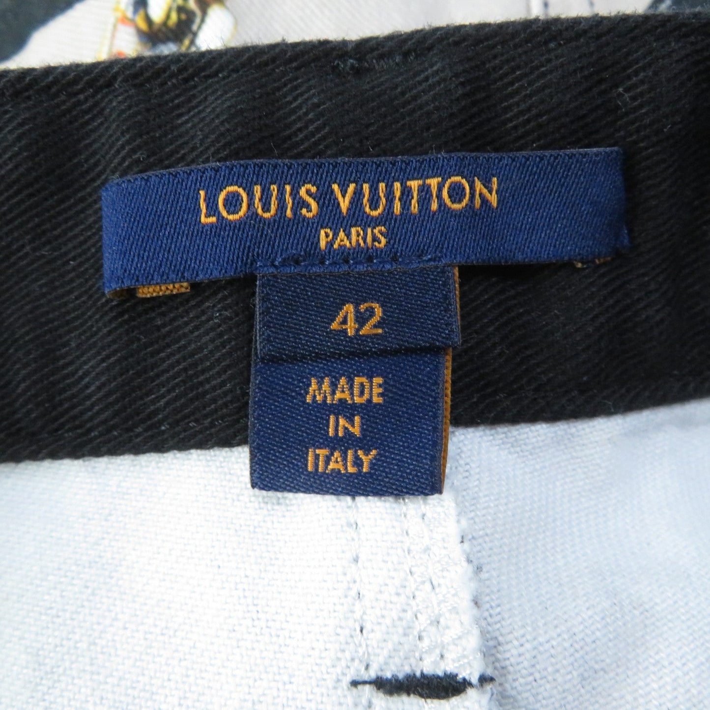 Louis Vuitton Shorts Main
