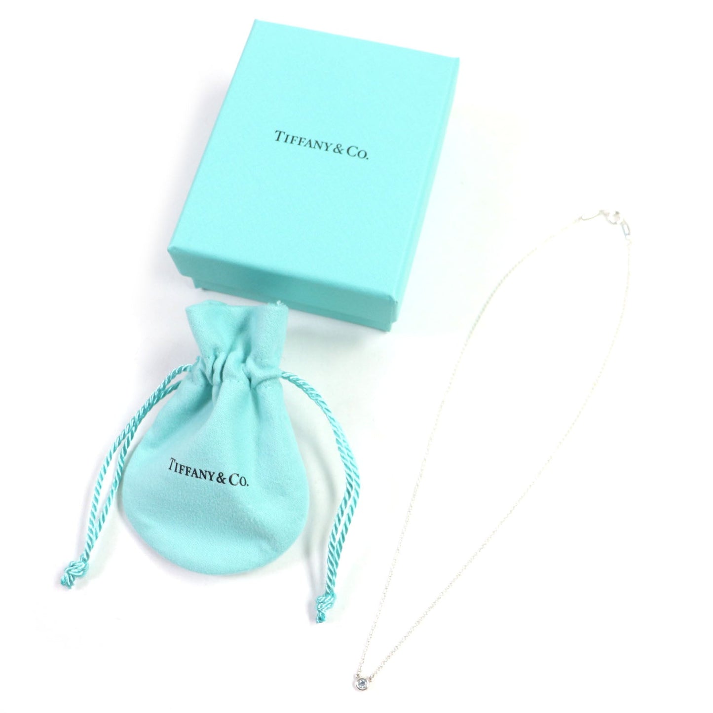 Tiffany&Co. Necklace Main
