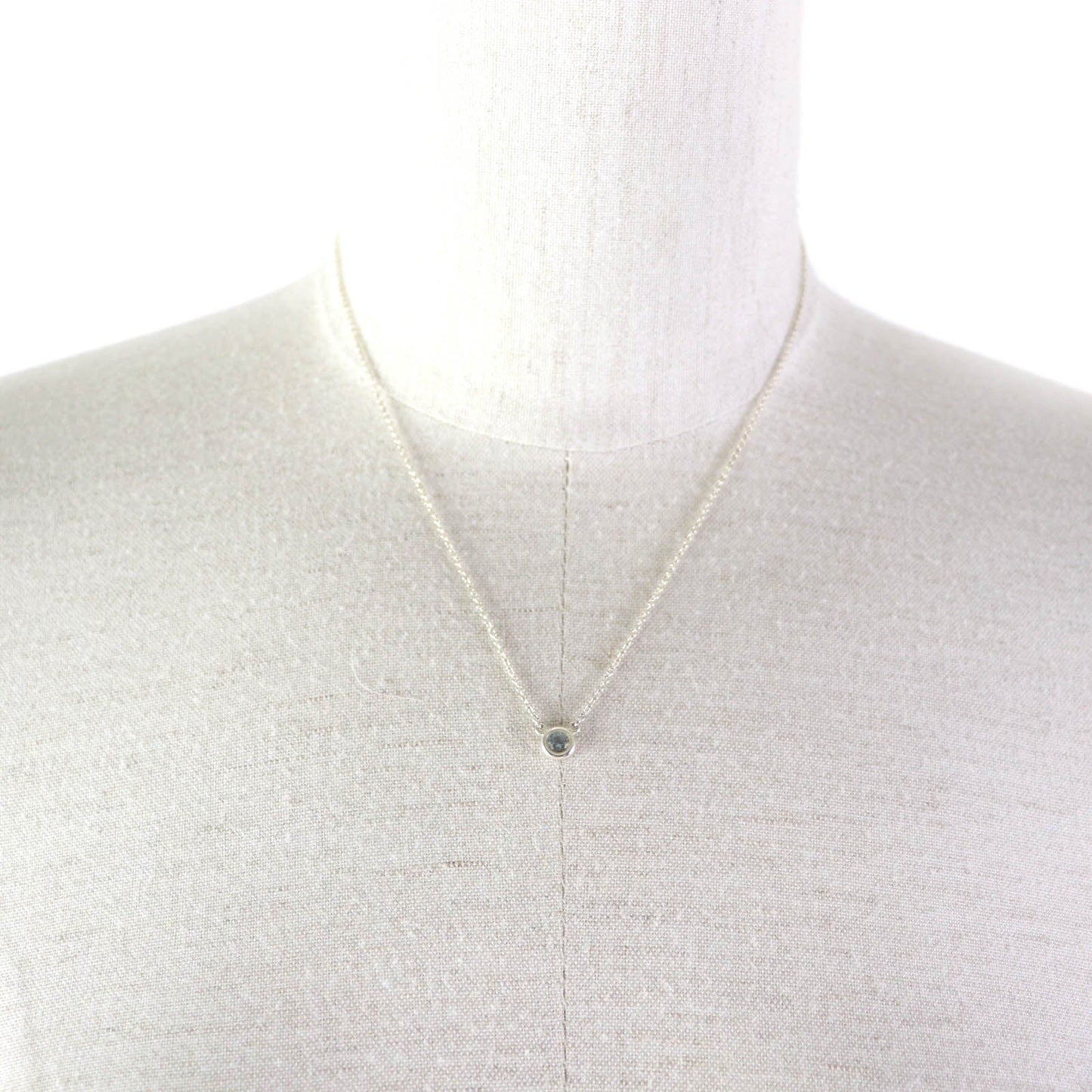 Tiffany&Co. Necklace Main