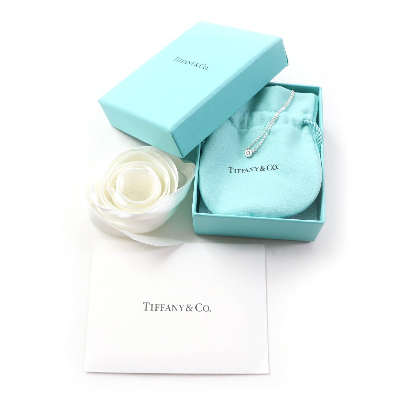 Tiffany&Co. Necklace Main