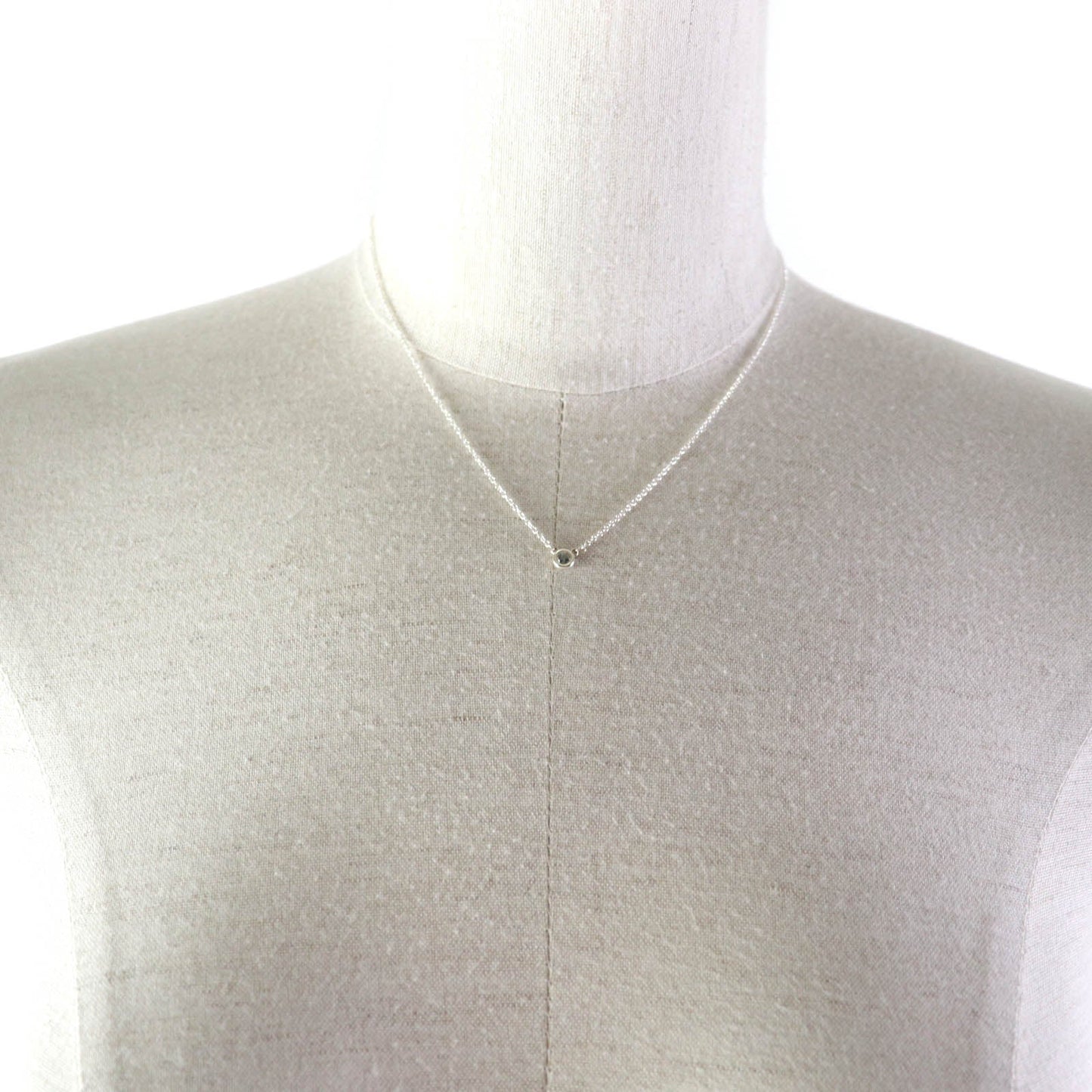 Tiffany&Co. Necklace Main
