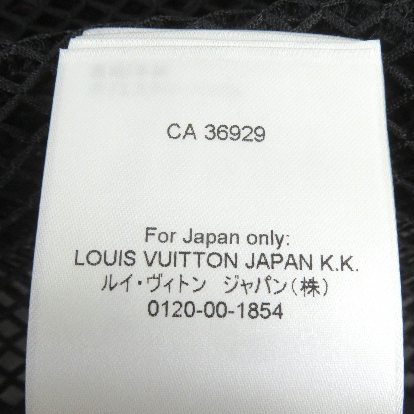 Louis Vuitton Hoodie Main