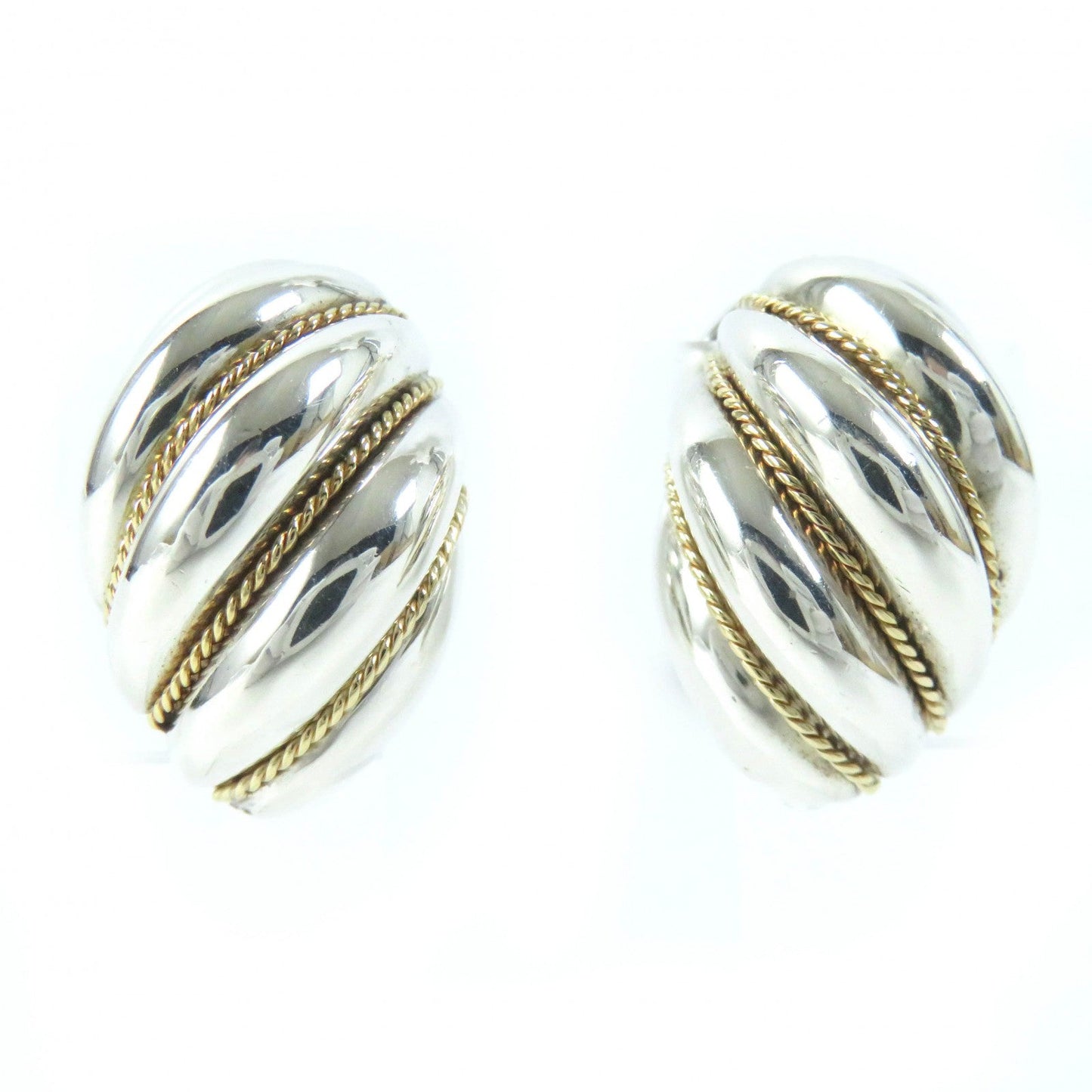 Tiffany&Co. Earring Main