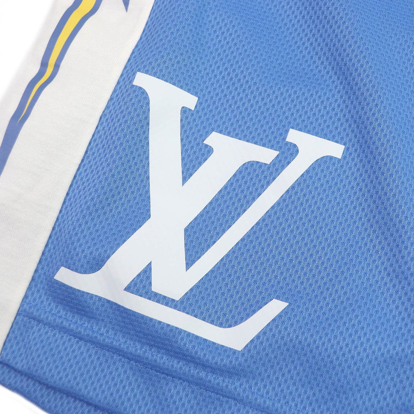 Louis Vuitton Shorts Main