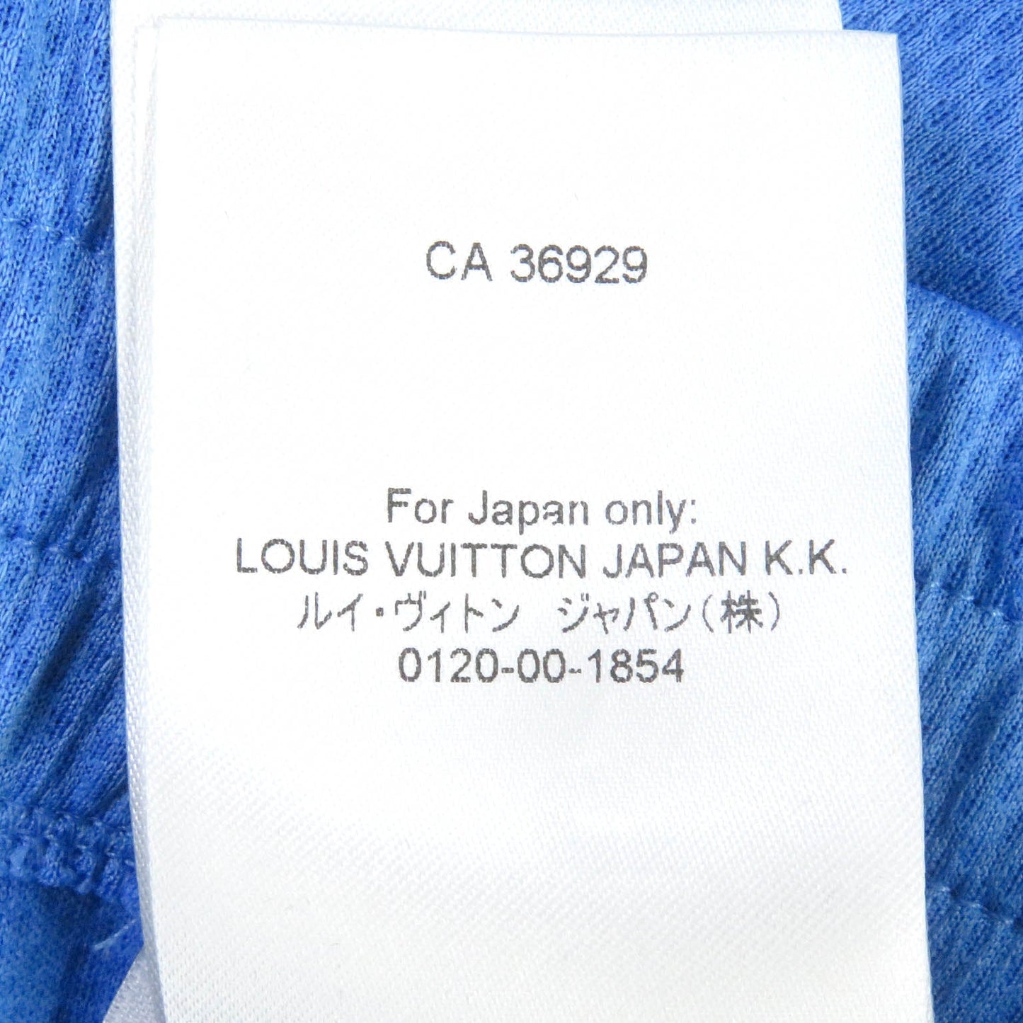 Louis Vuitton Shorts Main