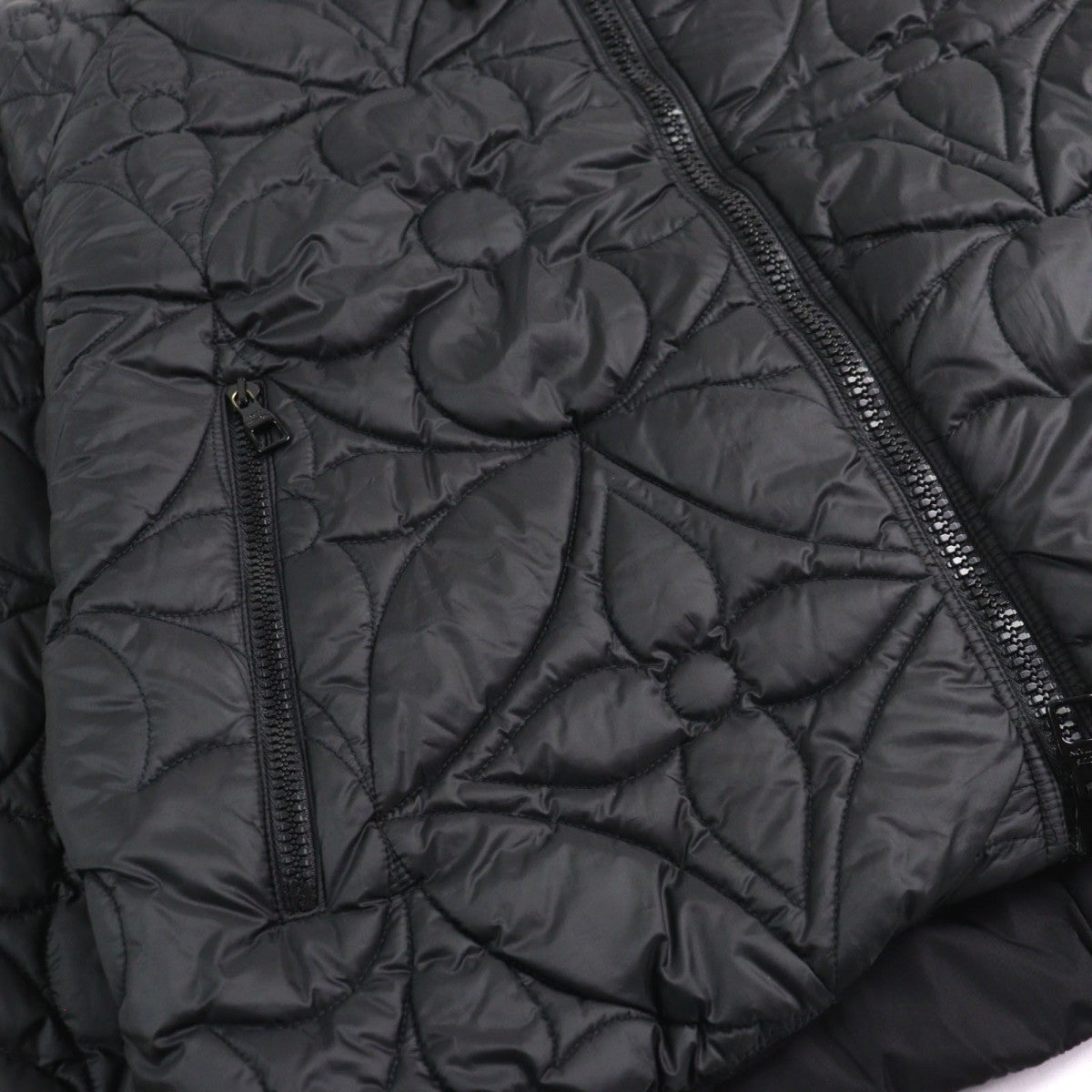 Louis Vuitton Jacket Hib47W Outer