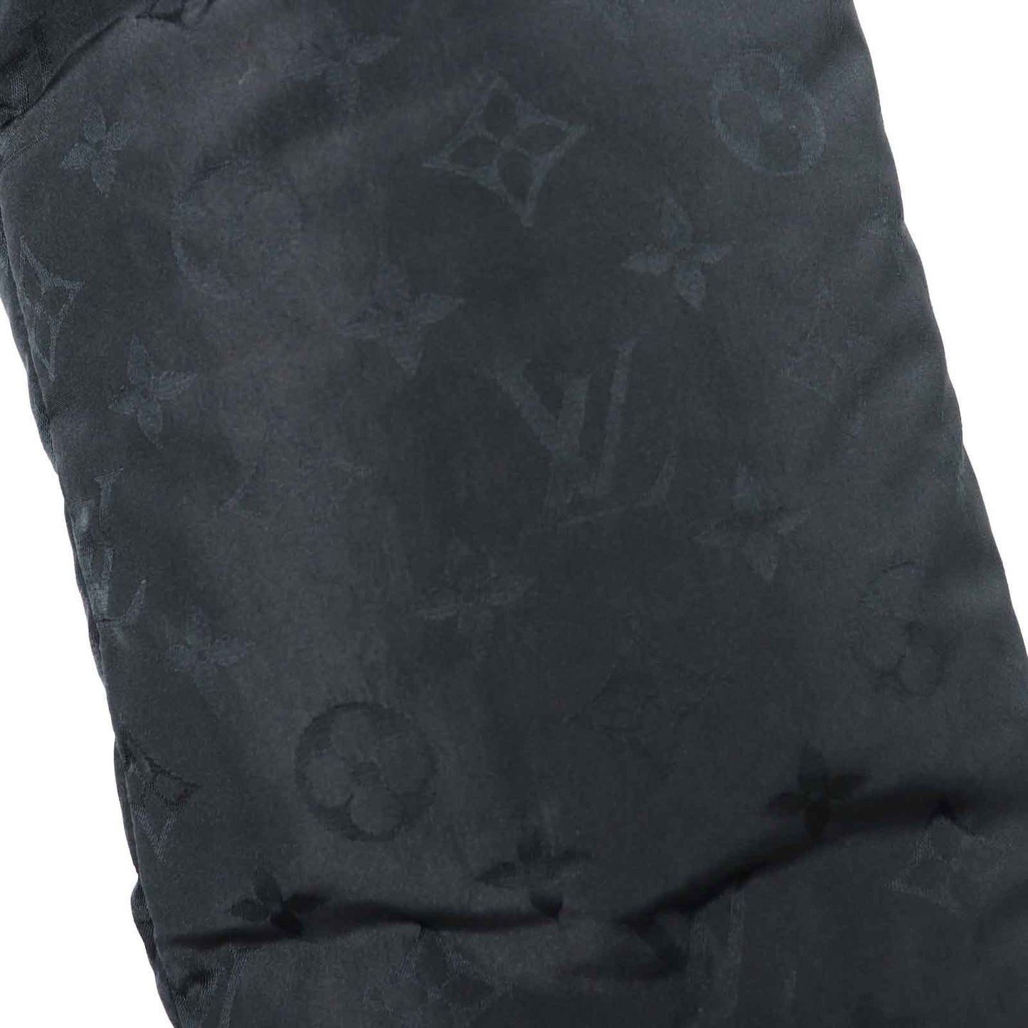 Louis Vuitton Down Coat Ffco018Flx Outer
