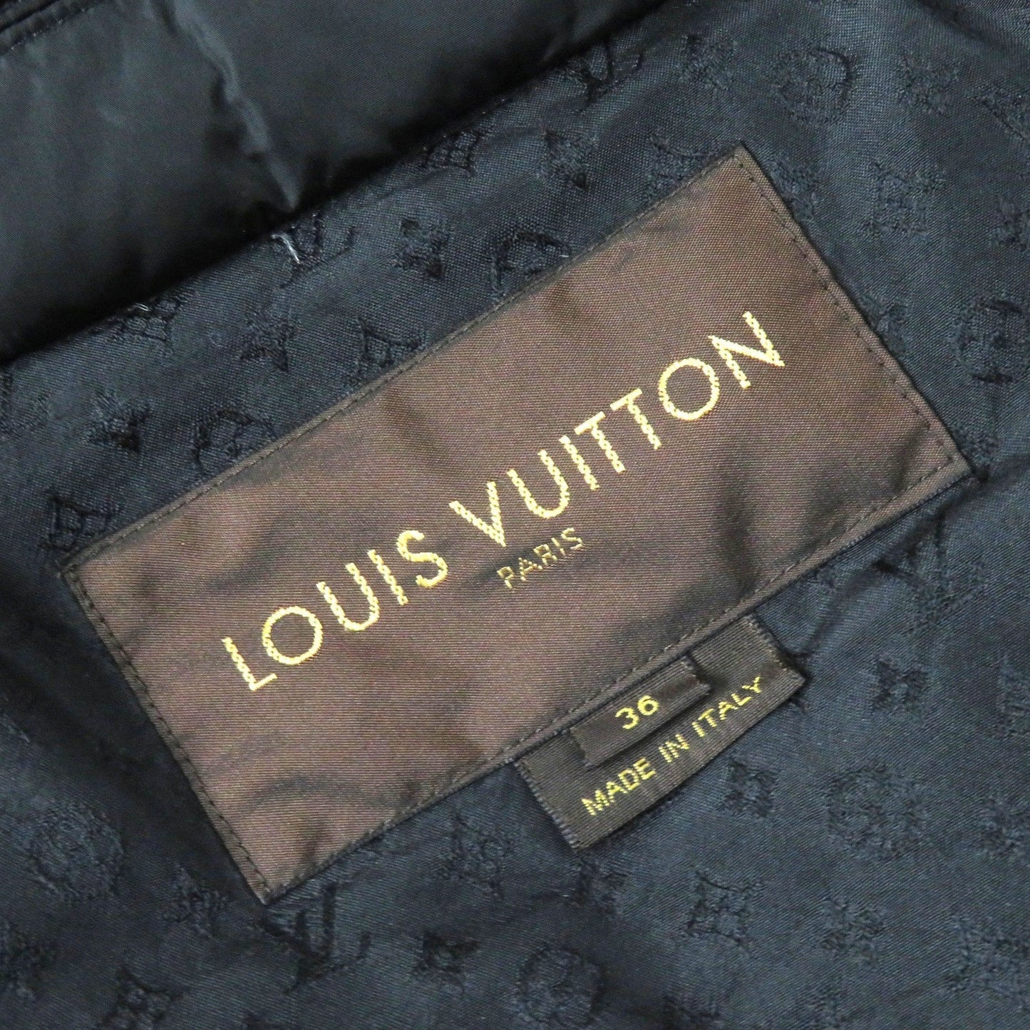 Louis Vuitton Down Jacket Outer