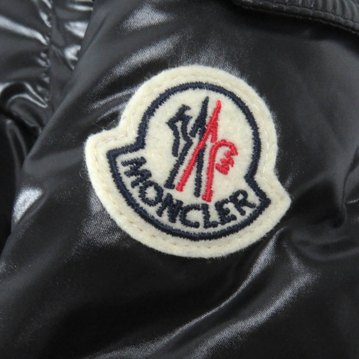 Moncler Down Jacket Main