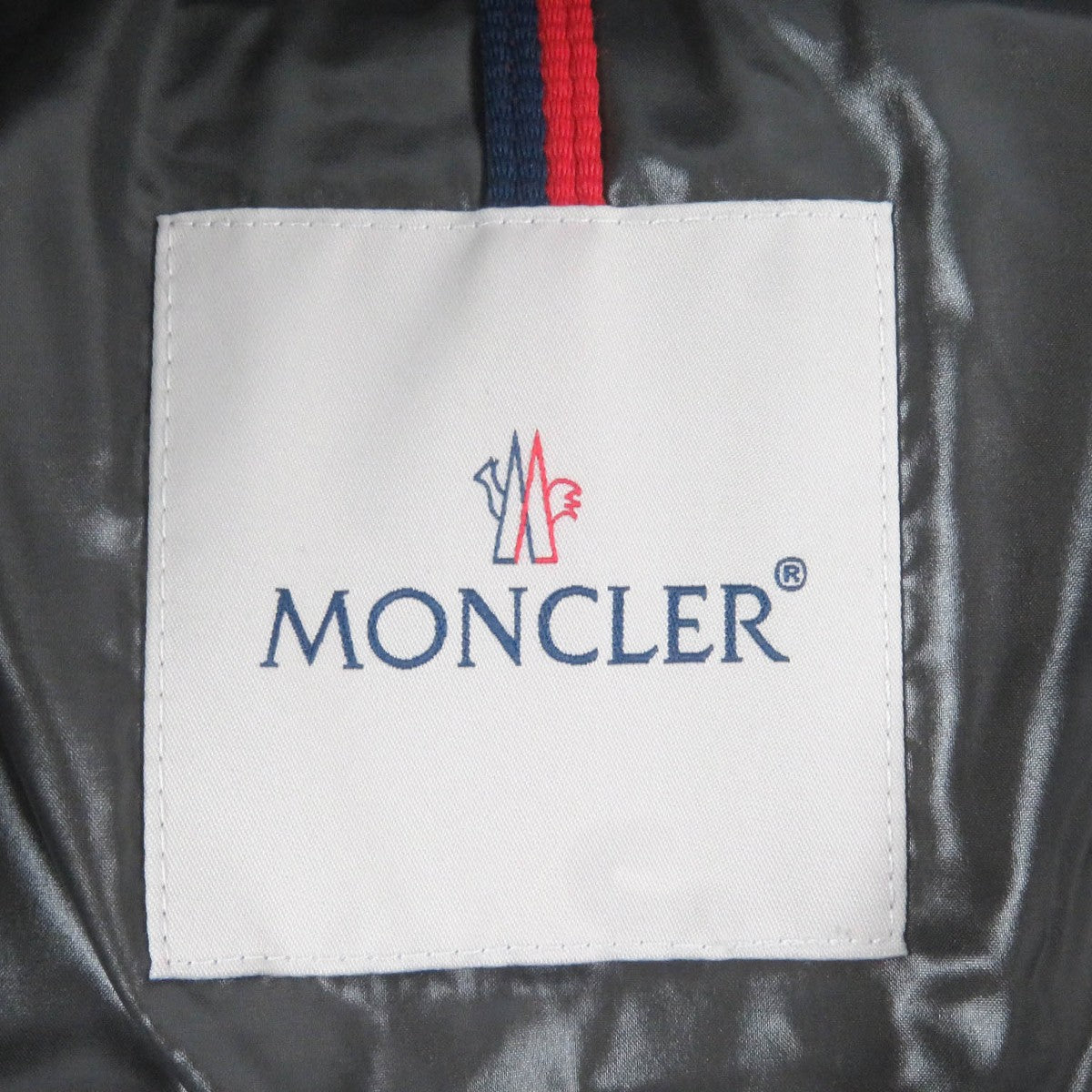 Moncler Down Jacket Main