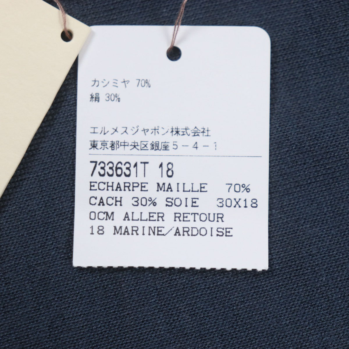 Hermes Scarf 733631T Main