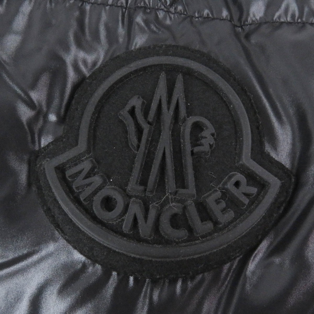 Moncler Down Jacket Main