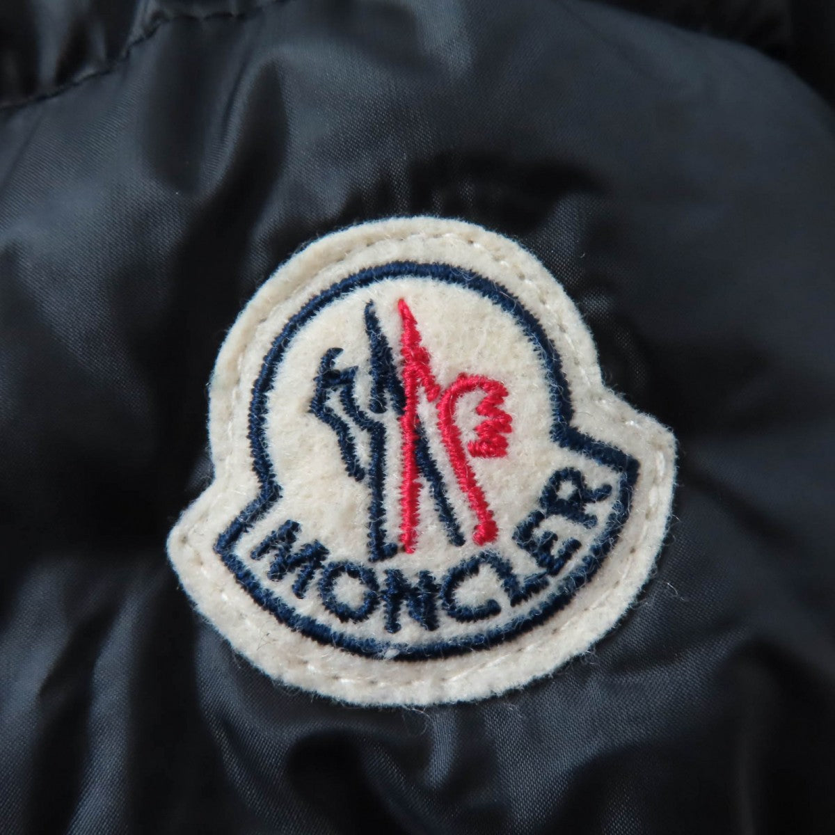 Moncler Down Coat Main