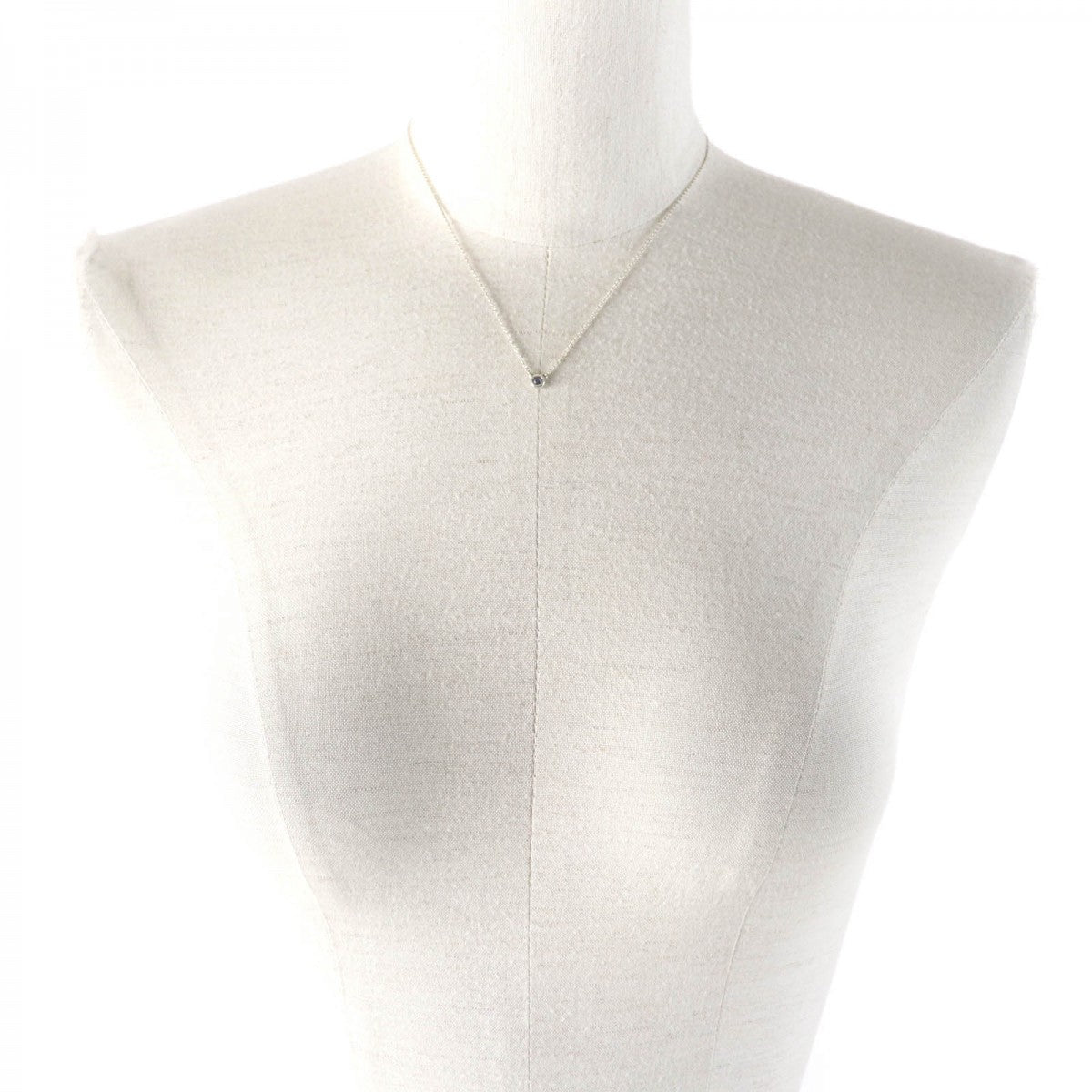 Tiffany&Co. Necklace Main