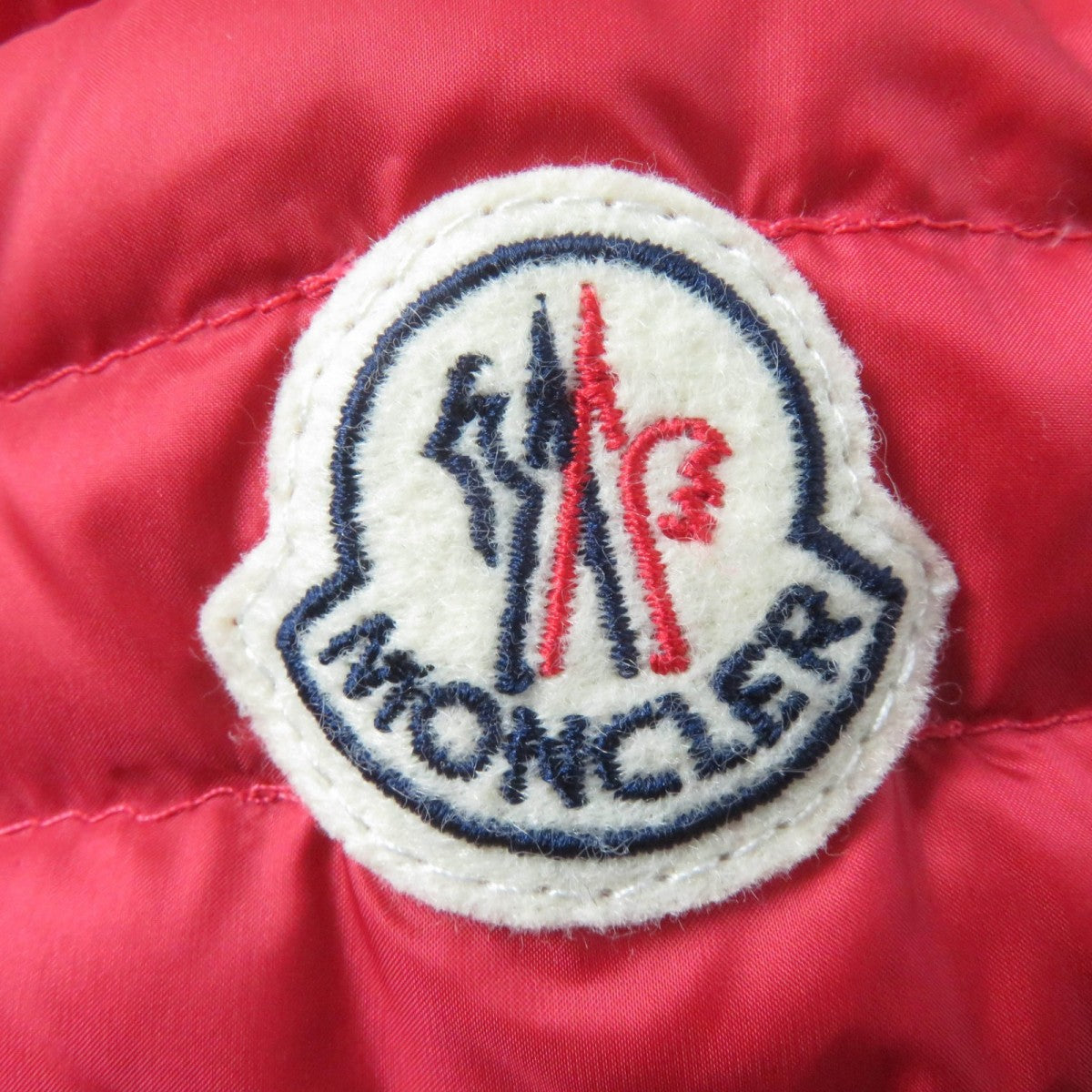 Moncler Down Jacket Main