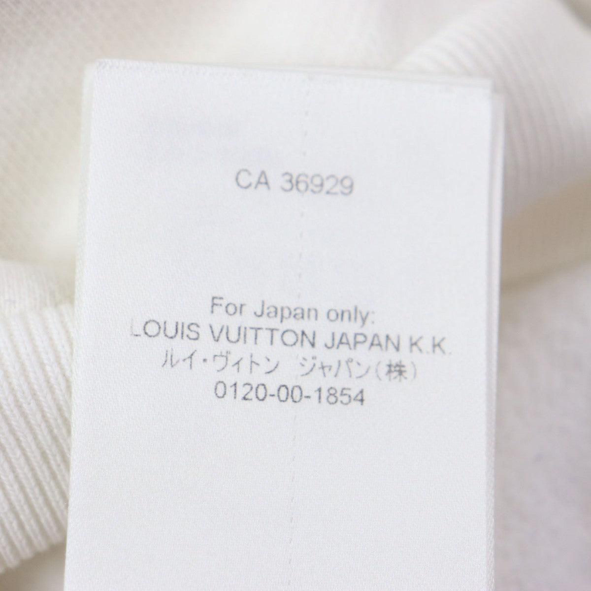 Louis Vuitton Hoodie Main