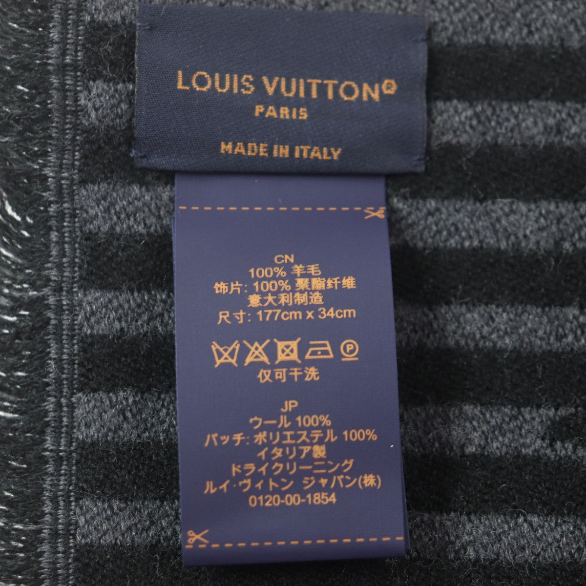 Louis Vuitton Scarf M77944 Main
