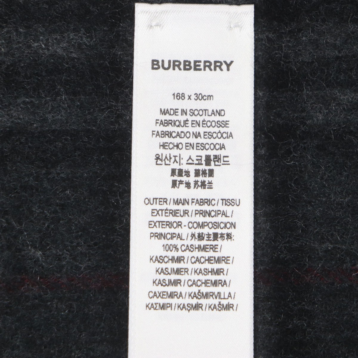 Burberry Scarf 80638691 Main