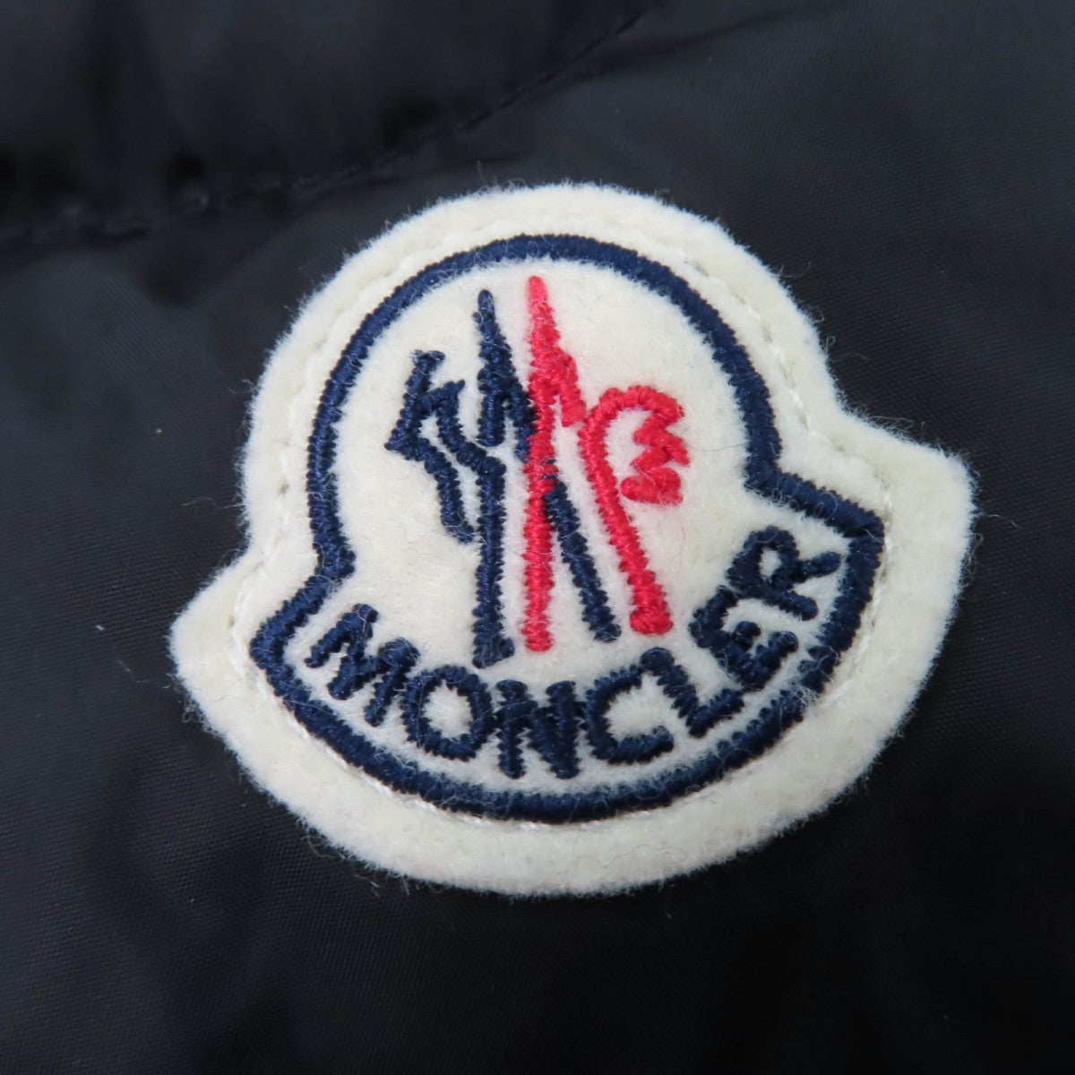 Moncler Down Coat Main