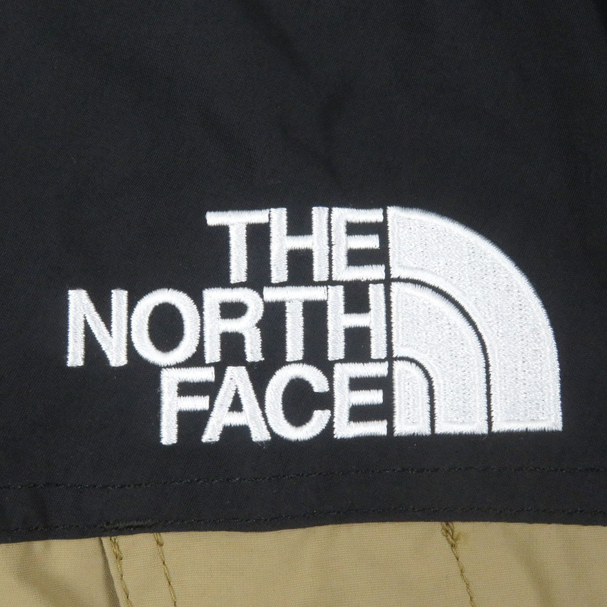 The North Face Mountain Hoodie Np62450 Outer