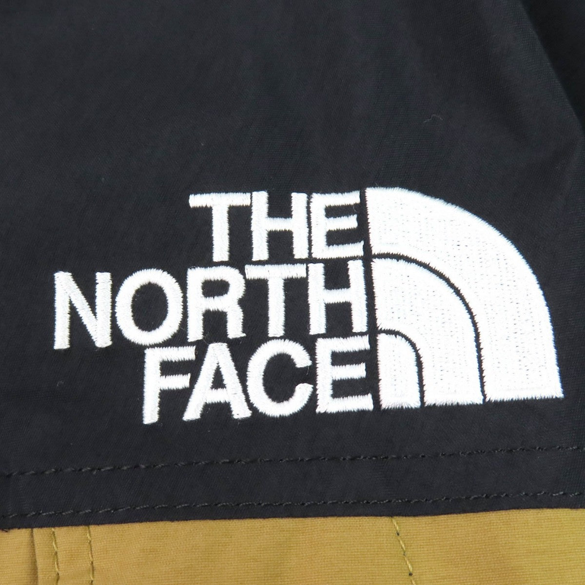 The North Face Mountain Hoodie Np11834 Outer