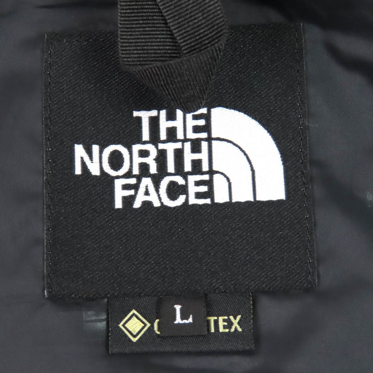 The North Face Mountain Hoodie Np11834 Outer