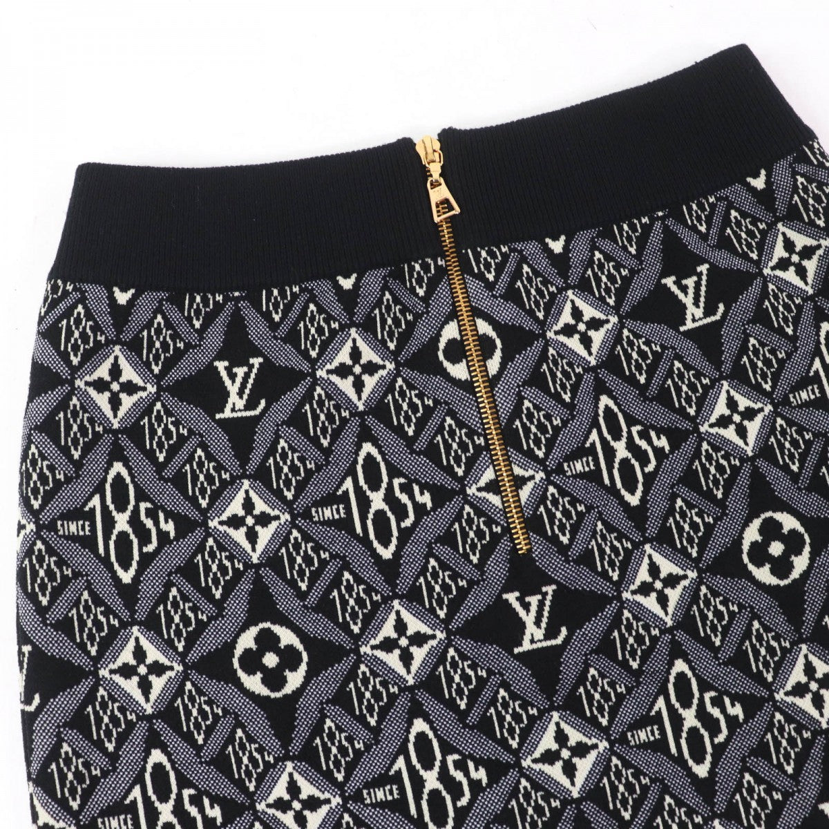 Louis Vuitton Tight Skirt Main