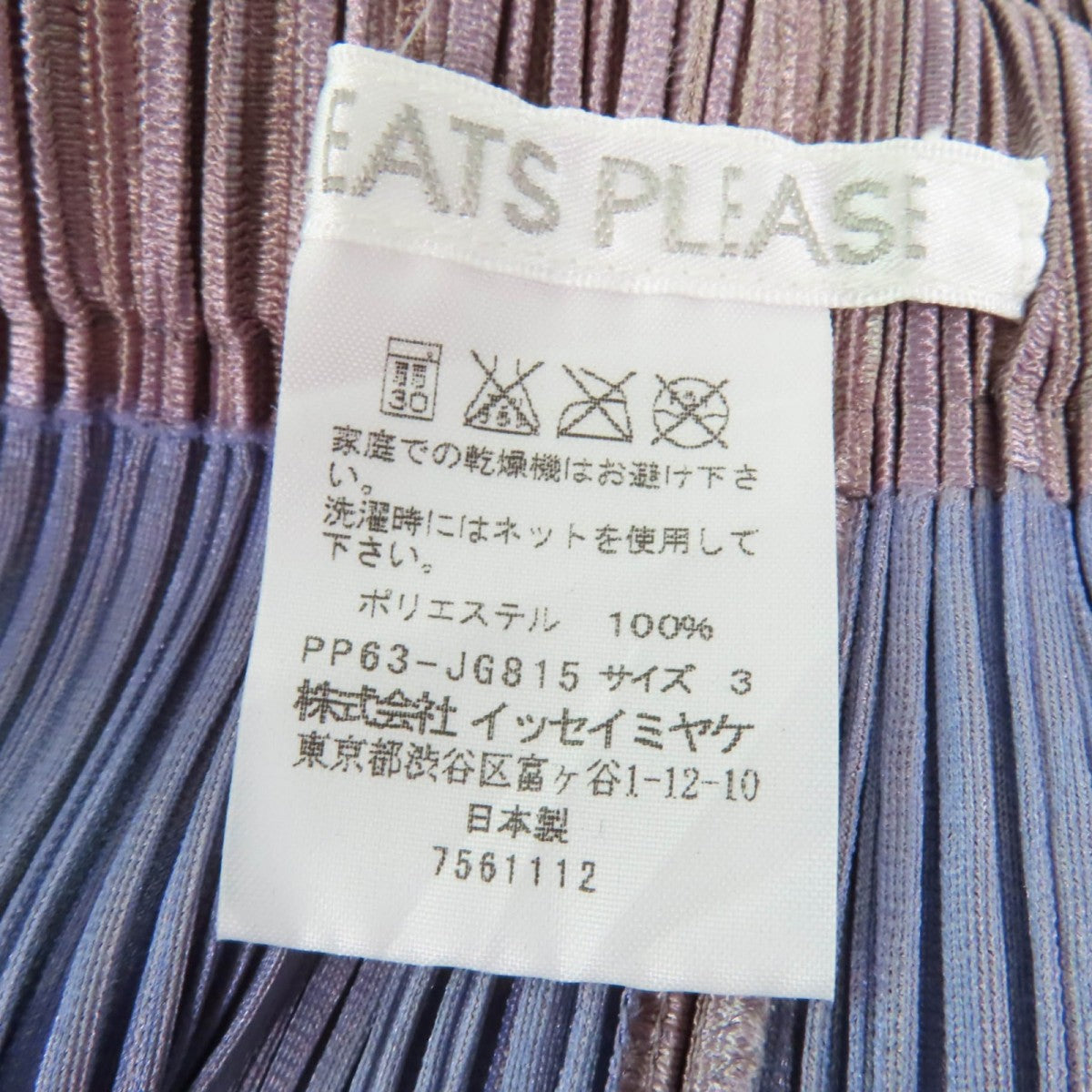 Pleats Please Setup Main