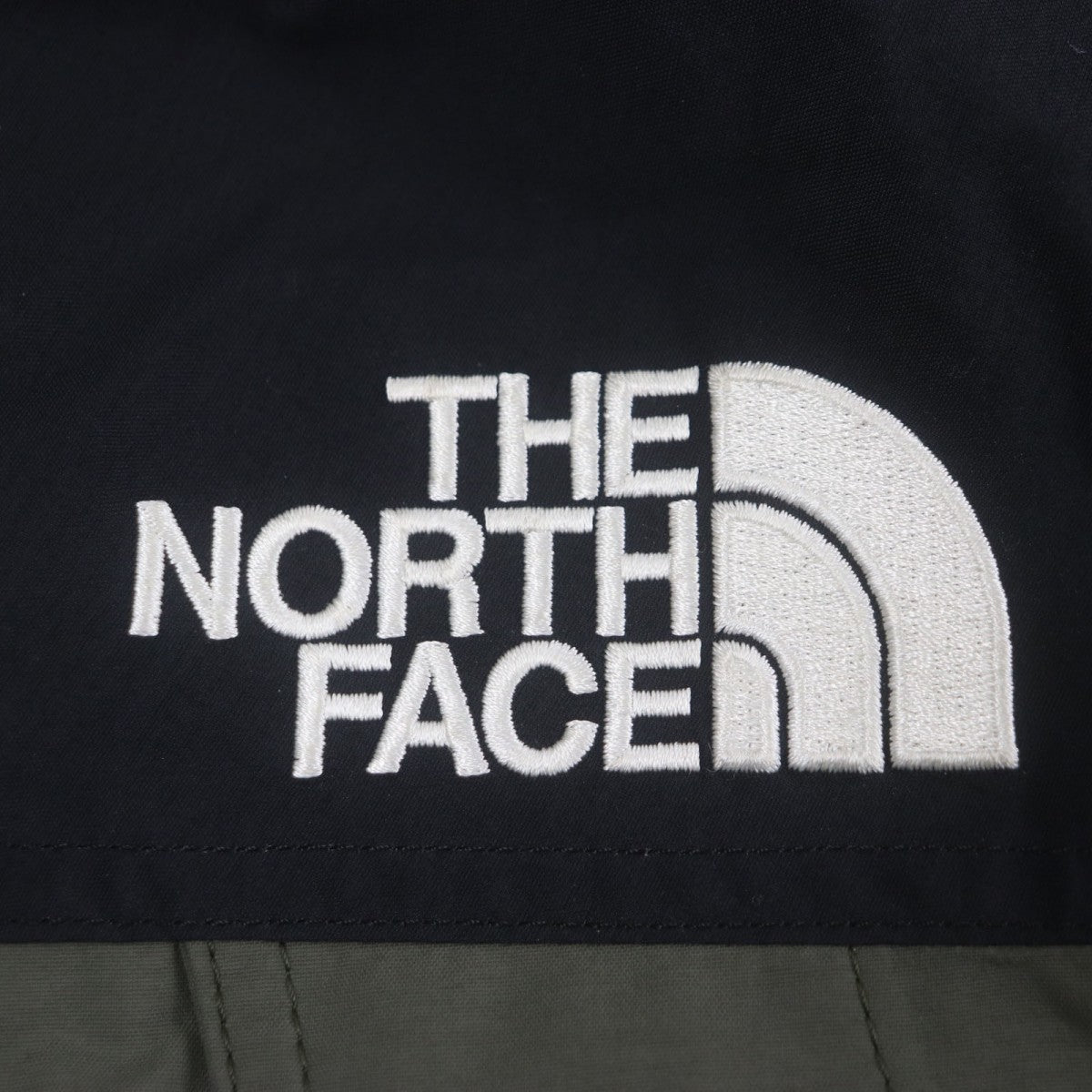 The North Face Mountain Hoodie Np11834 Outer