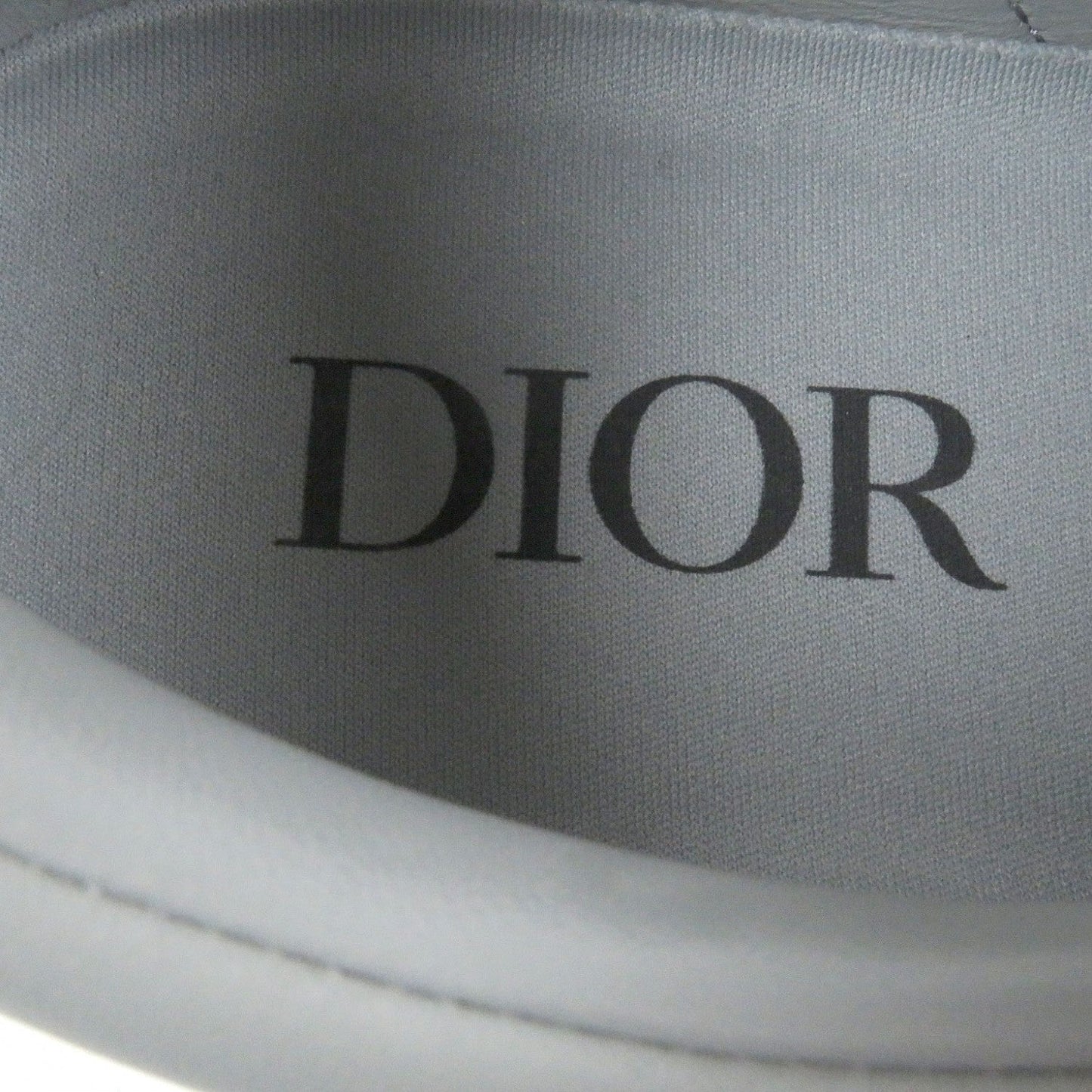 Dior Sneakers Leather Gray B101 40