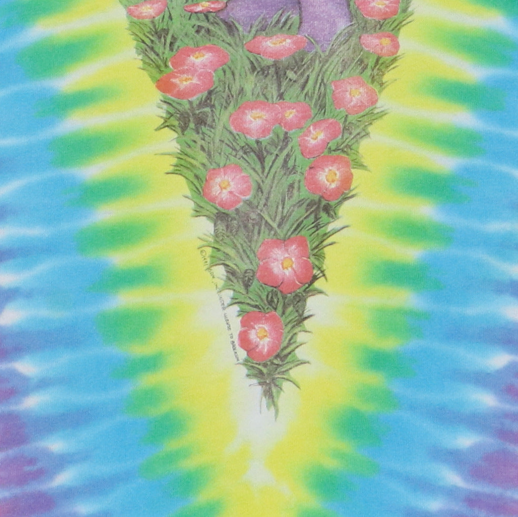 1991 Grateful Dead Spring Tour Liquid Blue Tie
