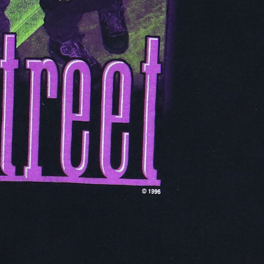 1996 Blackstreet No Diggity No Doubt World Tour
