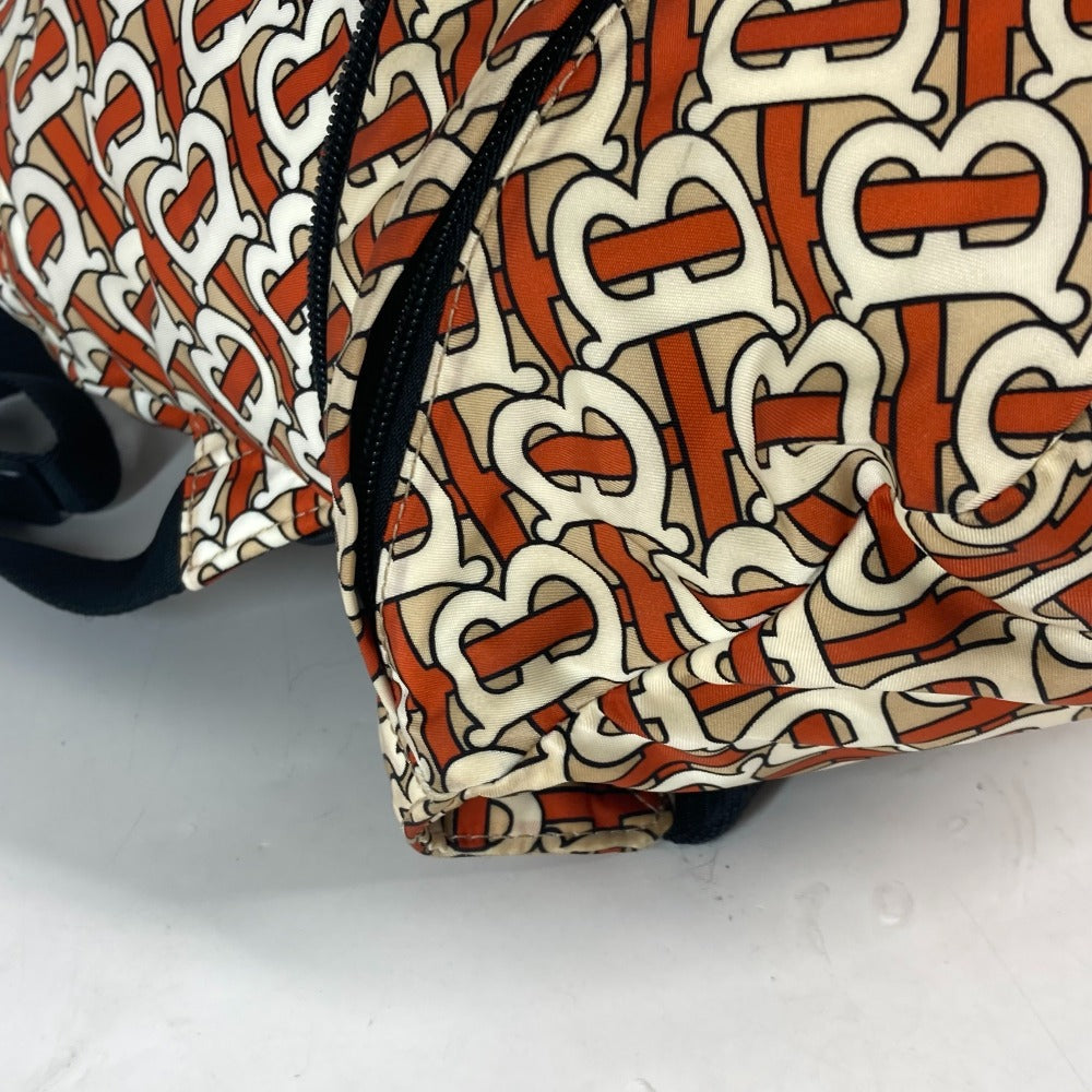 Burberry Backpack Nylon Orange Sling Bag, Waist Pouch, Belt Bag Tb Logo Unisex(Unisex)