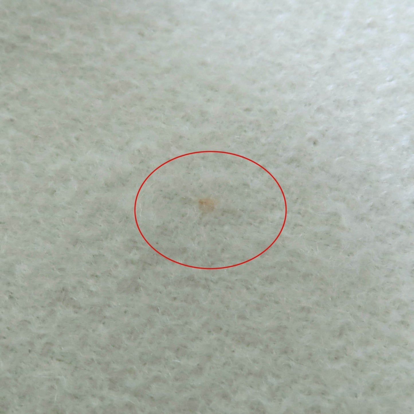 Hermes 100% Cashmere Stole/Shawl In Light Green With Embroidered Logo And Fringe