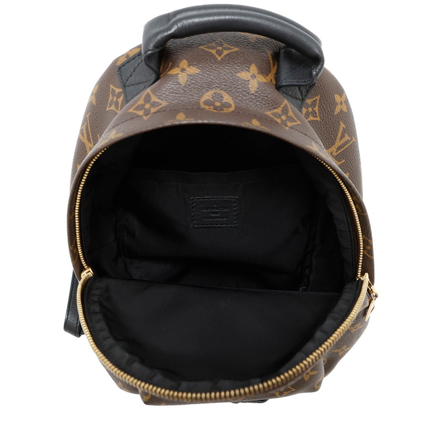 Louis Vuitton Monogram Palm Springs Backpack Pm M41560 Louis Vuitton