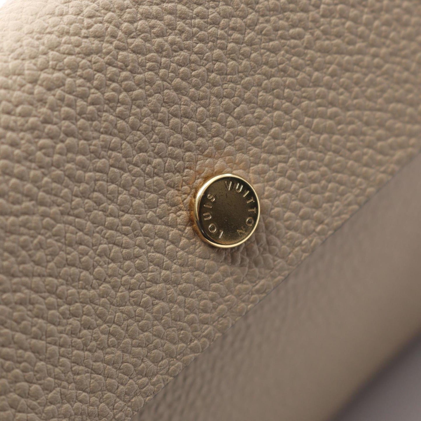 Louis Vuitton Rivet Gm Pochette Bag In Taurillon Leather