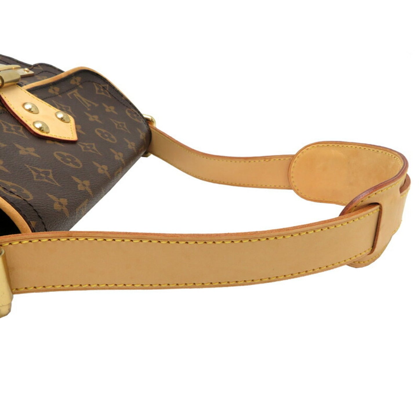 Louis Vuitton Hudson Pm