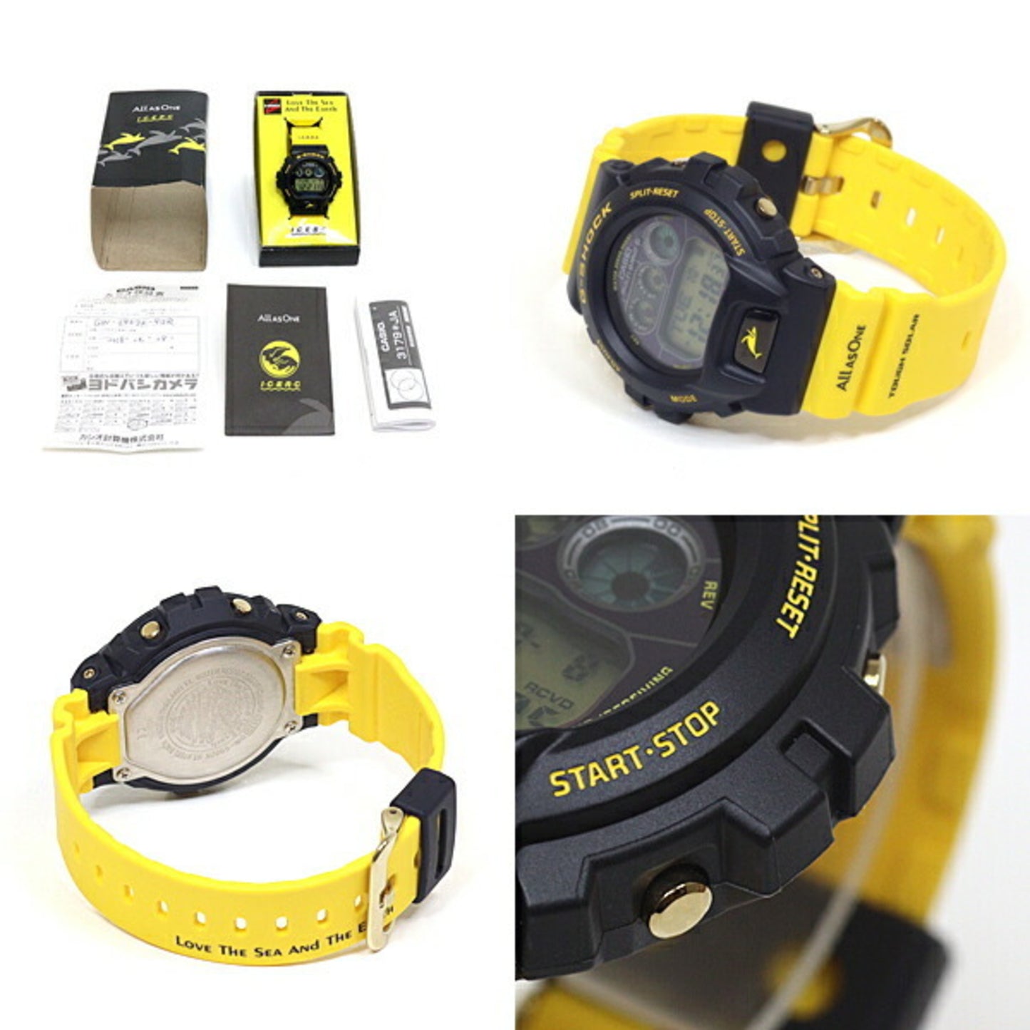 Casio Casio