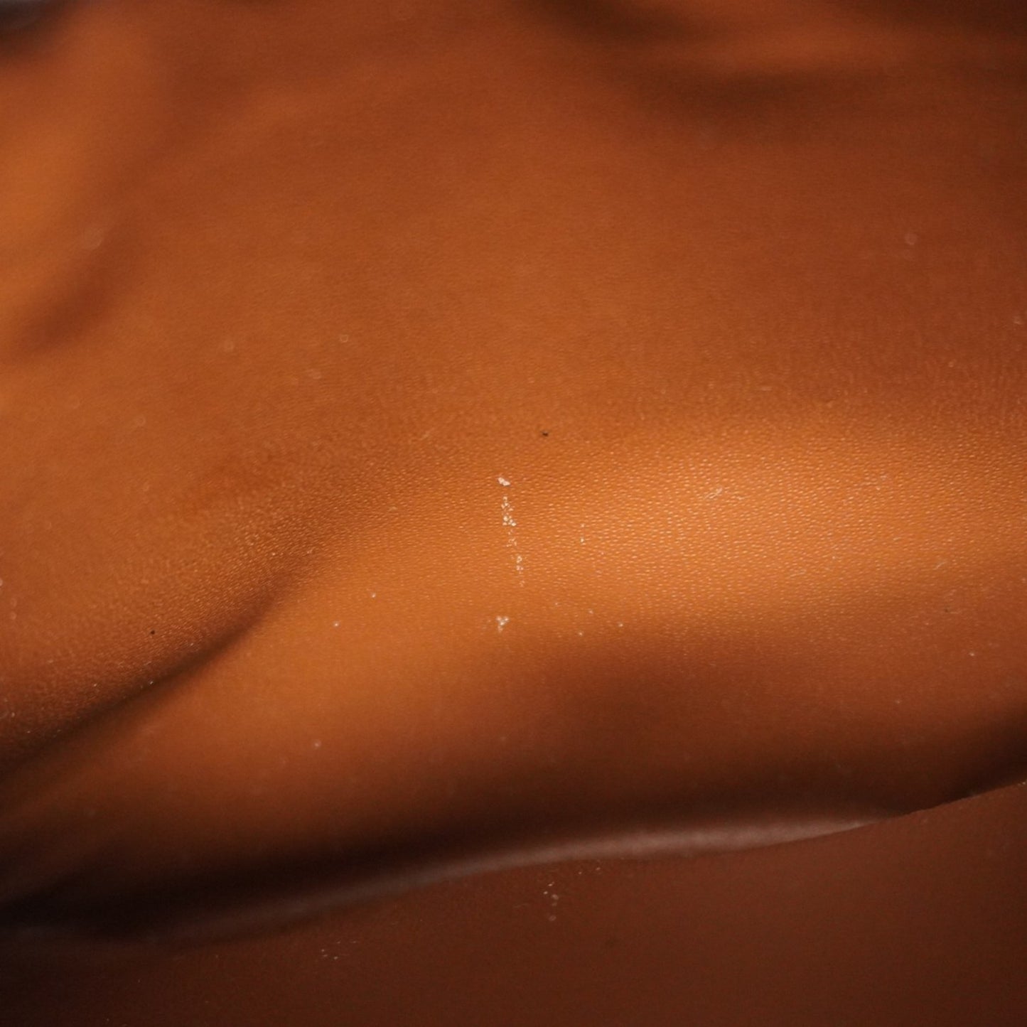 Louis Vuitton Monogram Jeune Fille Gm Shoulder Bag M51225 Brown