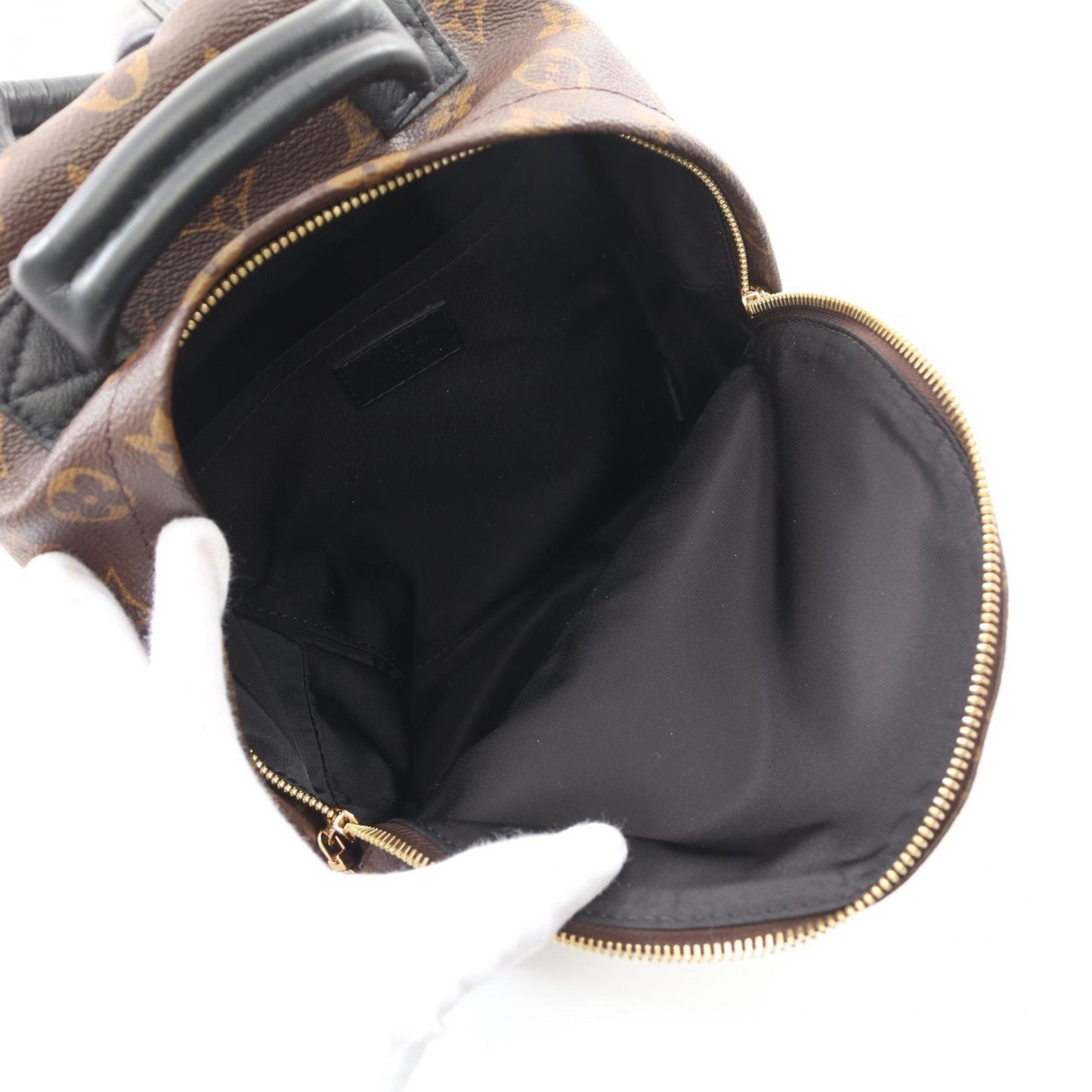Louis Vuitton Palm Springs Backpack Pm Rucksack Bag Coated Canvas Leather Monogram Reverse