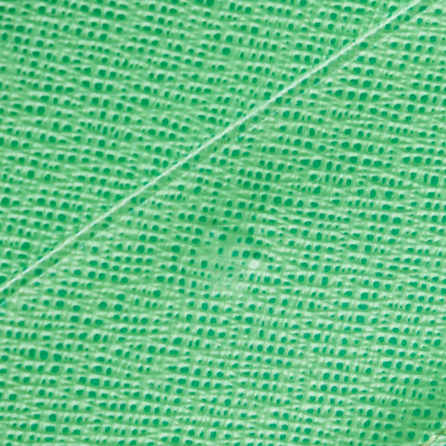 Louis Vuitton Monogram Perforated Bifold Wallet M95218 Vert Brown