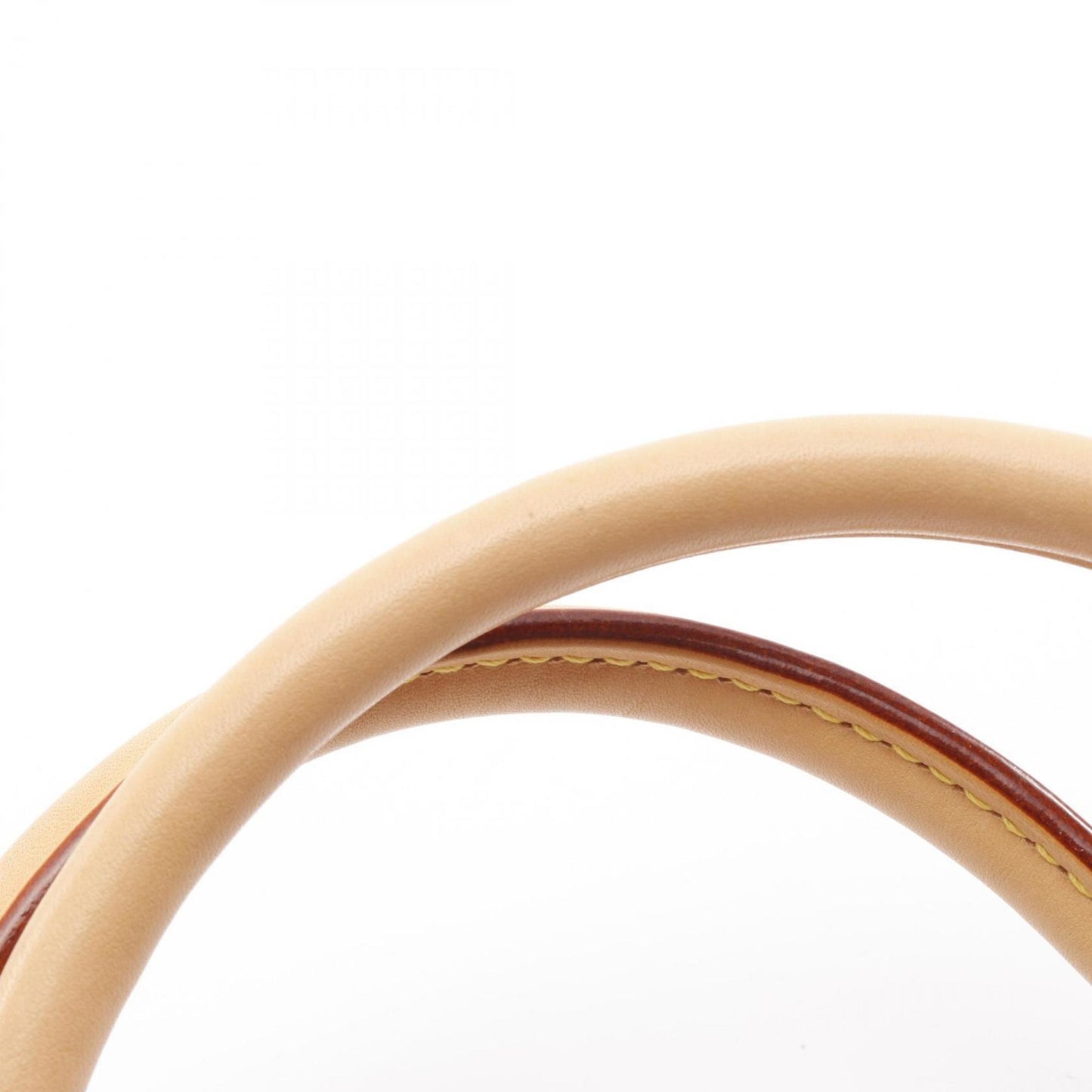 Louis Vuitton Saleya Pm Tote Bag