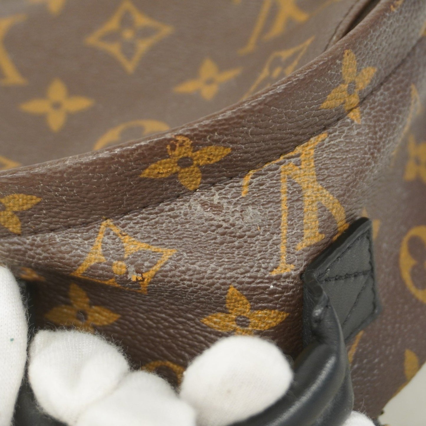 Louis Vuitton Monogram Palm Springs Mini Backpack M44873 Brown