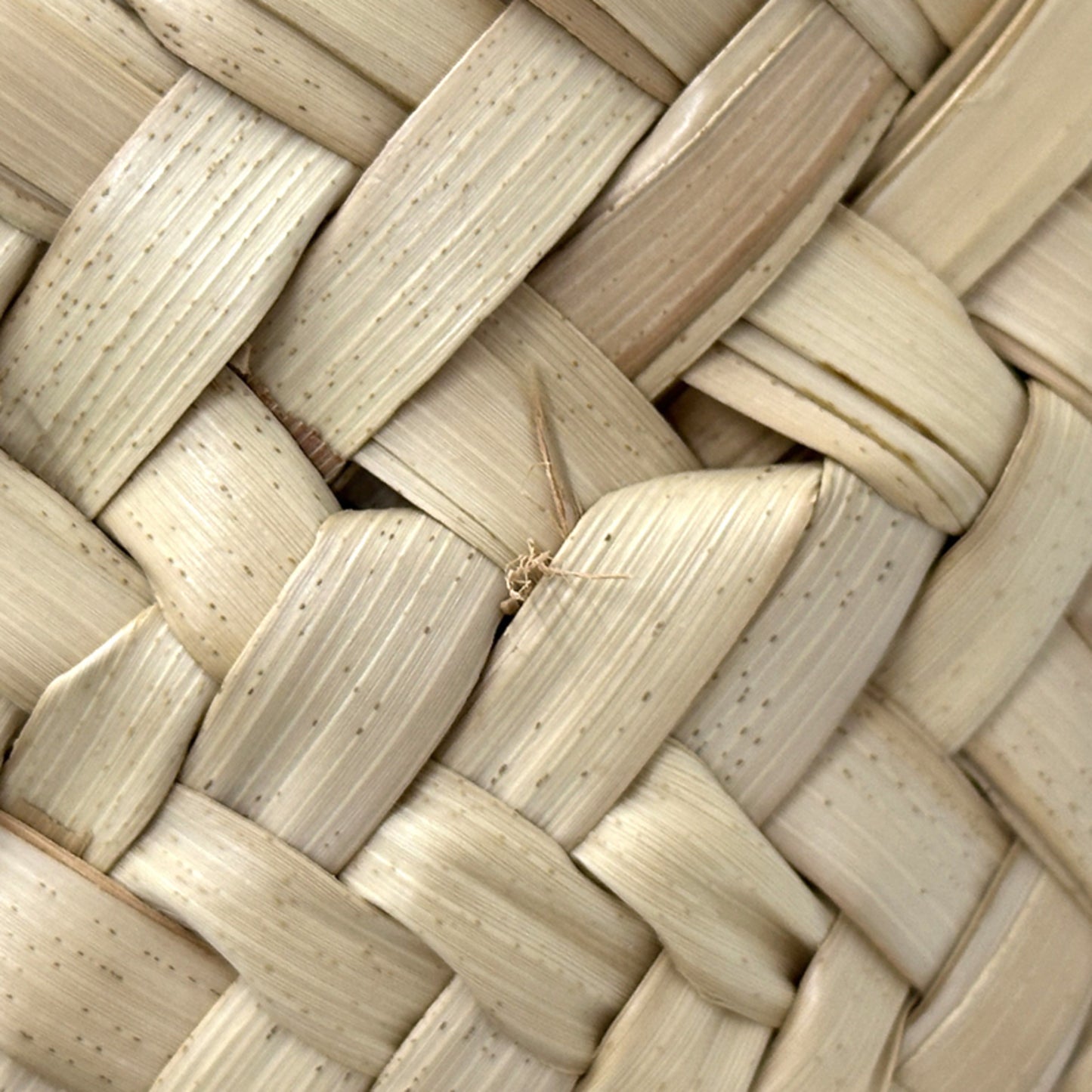 Celine Teen Triomphe Women'S Bag