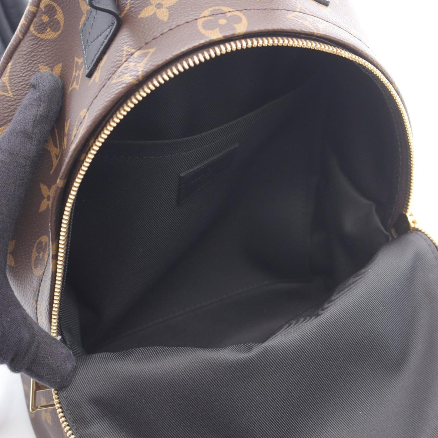 Louis Vuitton Palm Springs Backpack Pm