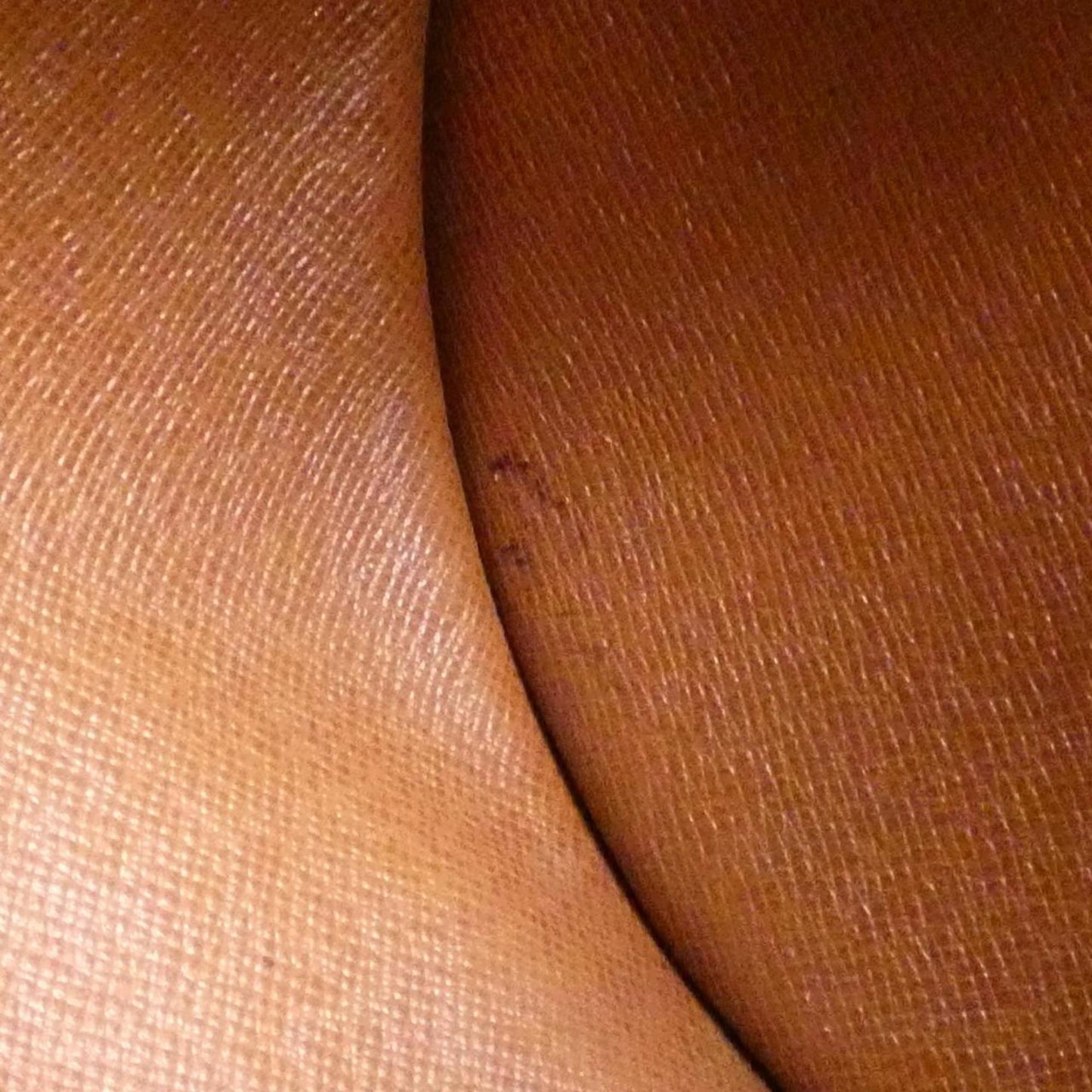 Louis Vuitton Monogram Papillon 30Cm Handbag M51365