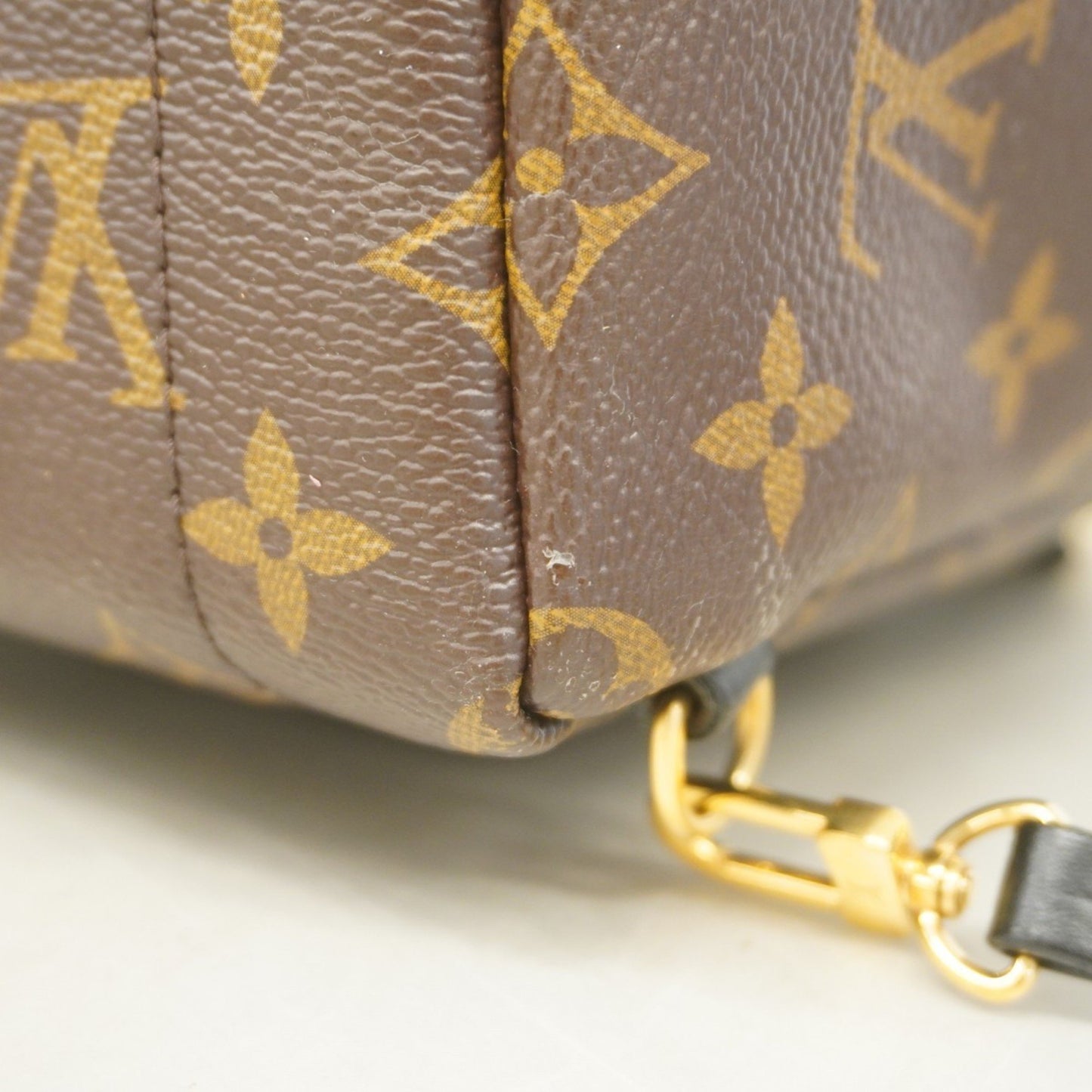 Louis Vuitton Monogram Palm Springs Mini Backpack M44873 Brown