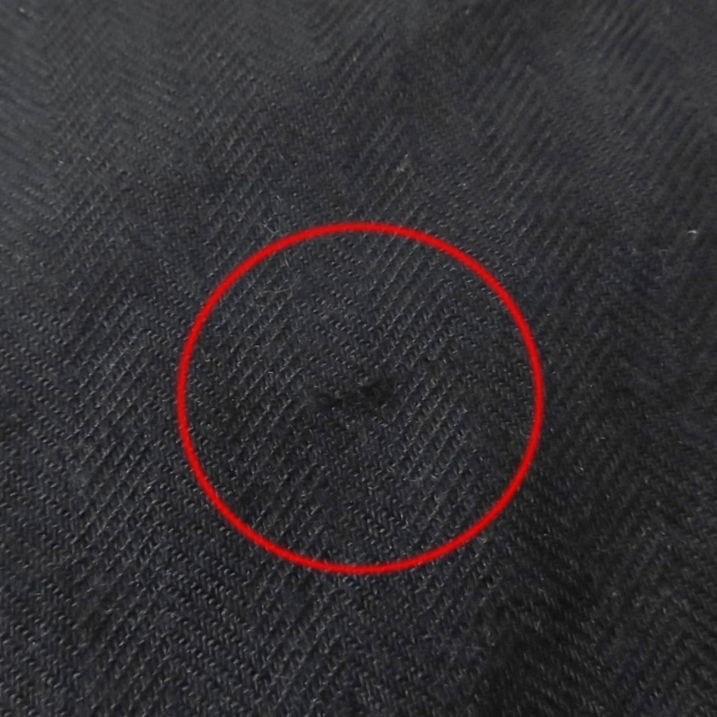 Hermes Carr Gien Amazonian Festival Cashmere