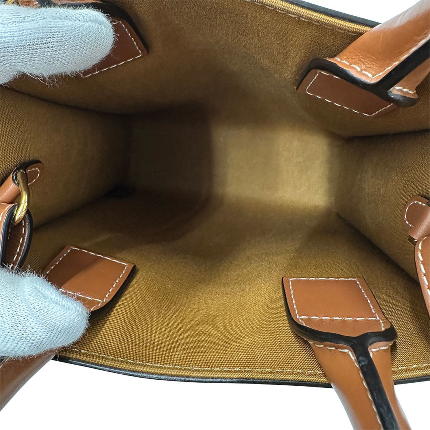 Celine Women'S Triomphe Canvas Mini Vertical Handbag/Shoulder Bag